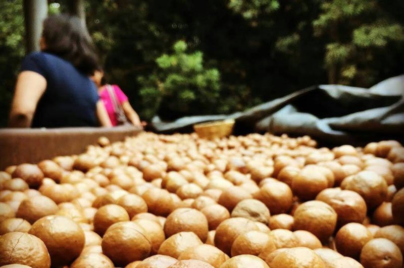 our story about page